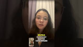 Дефицит белка. Отеки, спорт и здоровье печени! #топ #дефицит #отёки #белок