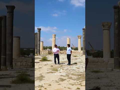 كنتوا تعرفوا شو معنى كلمة قويلبة شوفوا الفيديو لتعرفوا