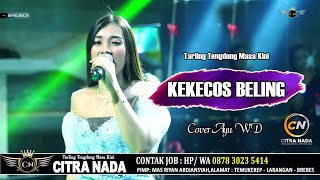 KEKECOS BELING Tengdung ~ AYU WD || CITRA NADA LIVE DESA LEMBARAWA (BLOK LOR )- BREBES