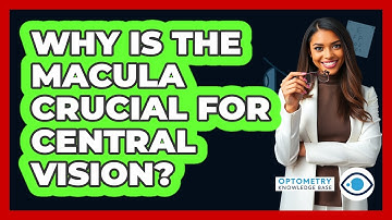 Why Is The Macula Crucial For Central Vision?