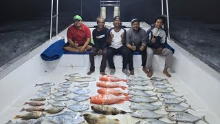 GROUPER AND RED SNAPPERS