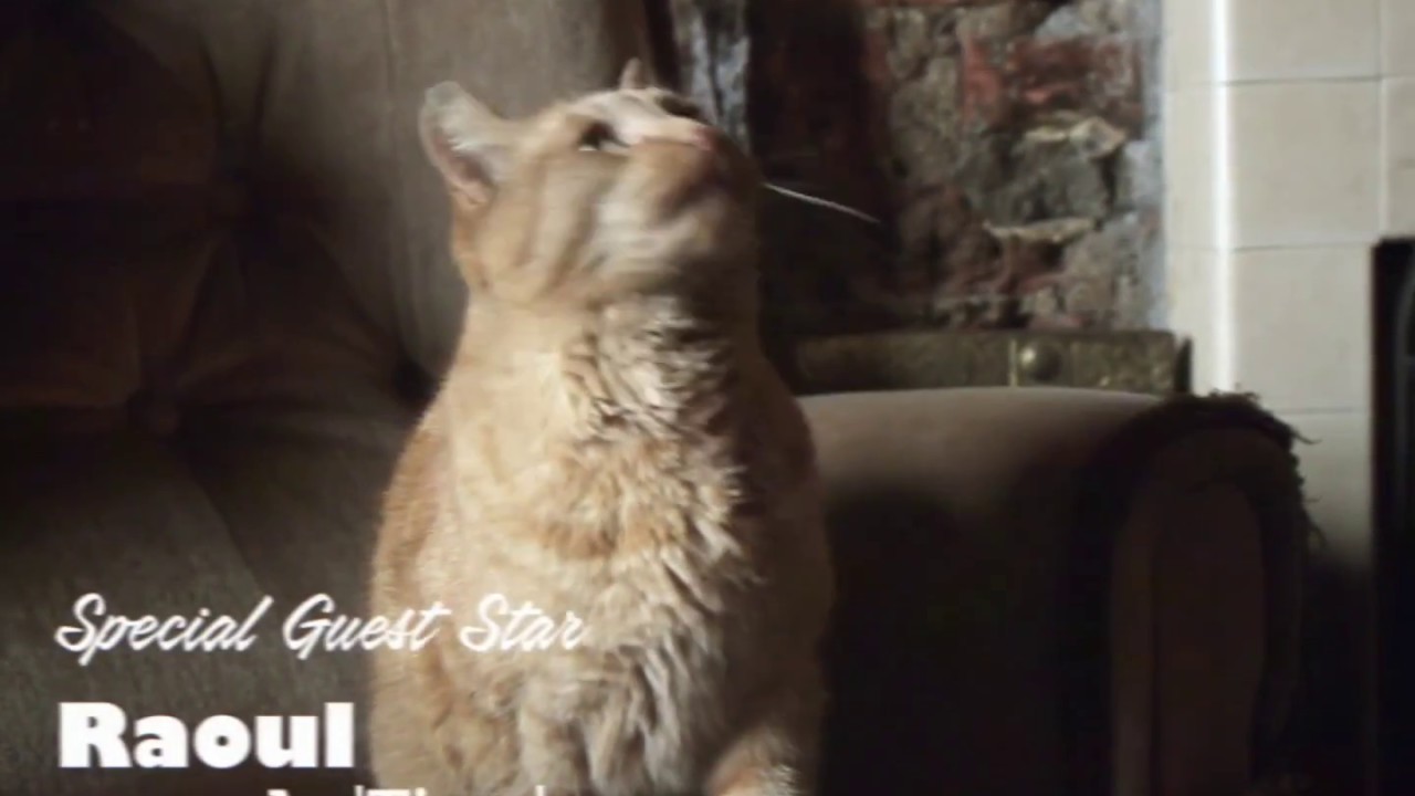 Announcing AIRWOLF - The New Harbour Master Ale