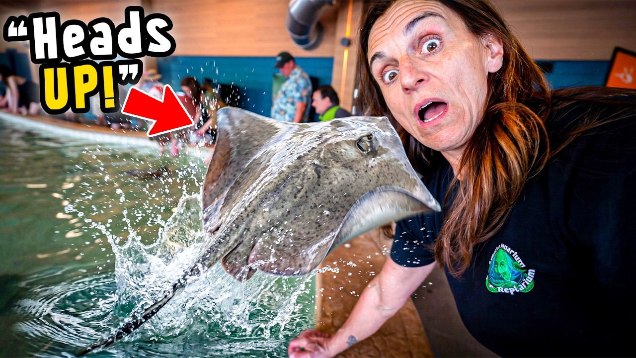We Tested the Detroit Zoo’s NEW Stingray Exhibit… Against Ours!?!