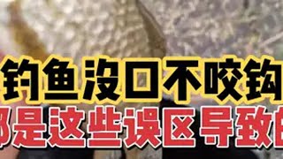 鱼不咬钩的原因竟然是这个？了解这些常见误区，提高你的上鱼率 原来钓鱼才是抖音运动顶流 野钓技巧 钓鱼人就是这么疯狂