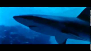 Strange Wilderness - Shark Scene