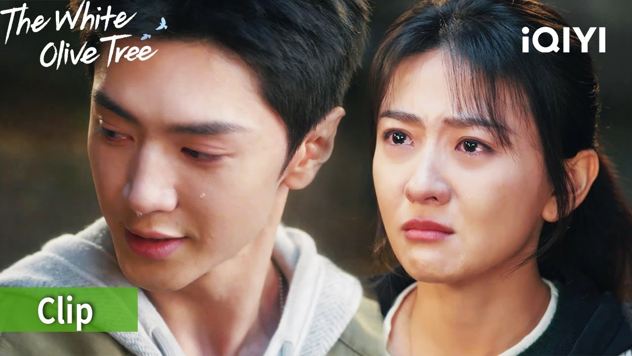 😯😯Li Zan & Song Ran had an argument | 🕊️The White Olive Tree | iQIYI ...