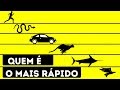 Quem É o Ser Vivo Mais Rápido do Mundo?