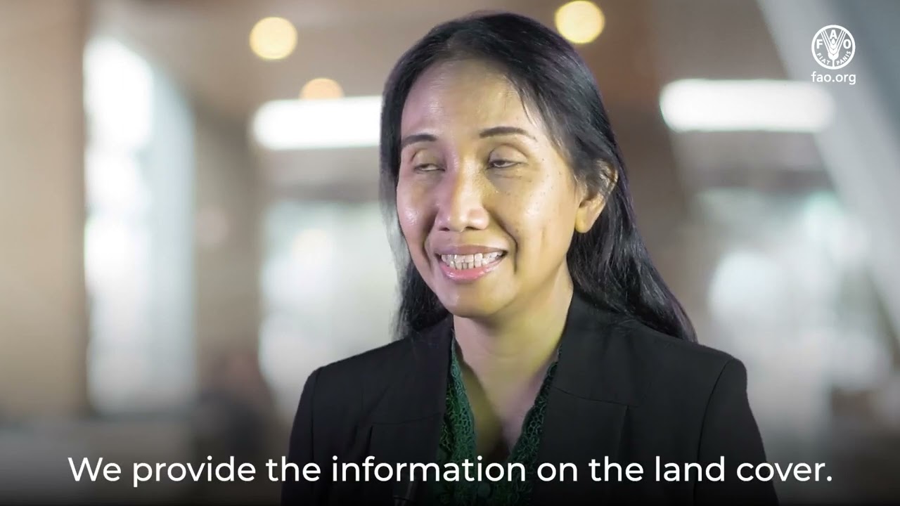 National Forest Monitoring System: Belinda Margono (Indonesian Ministry of Environment and Forestry)