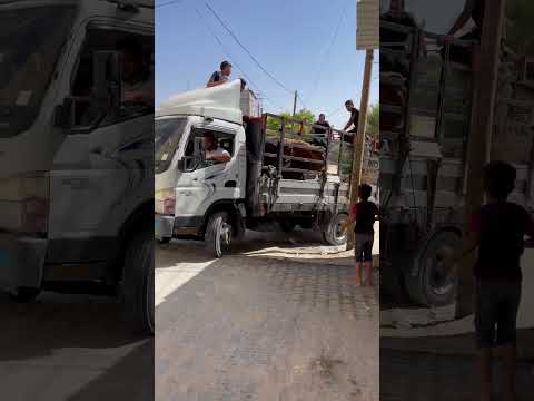 تنزيل عجول مجنونة