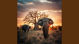 Ko Ngal Wadi (It Is the Earth That Provides)