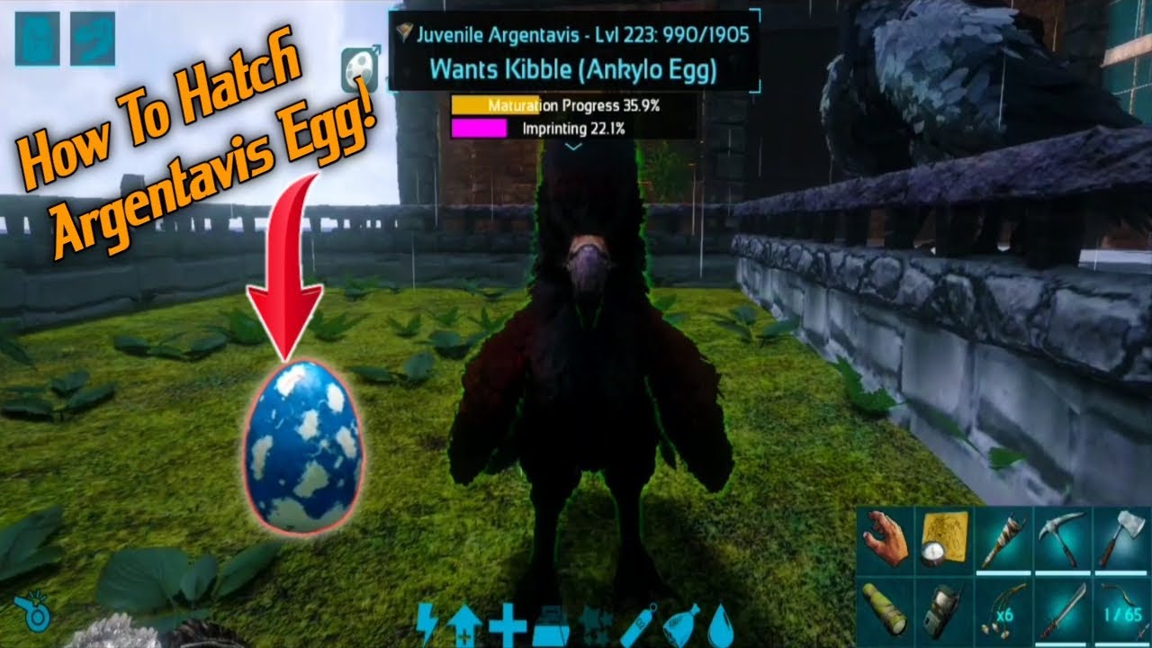 Prelude duft Mundskyl Ark Mobile How To Hatch Argentavis Egg (Without Air Conditioner) - YouTube