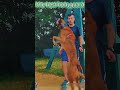 Next Level K9: Super Training For Elite Dogs #k9 #malinois #dogtraining #superdogs