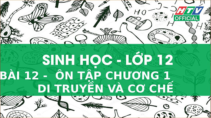 Bài tập sinh học 12 chương 1 2 năm 2024