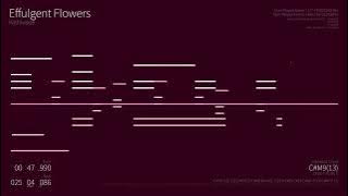 Effulgent Flowers (2024 Refined) - Original Music by Kashiwade