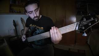 WITHIN DESTRUCTION - Void (Bass Cover)