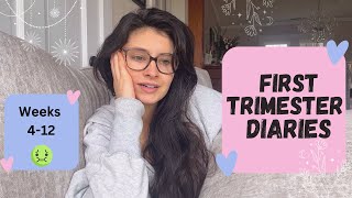 T.1.D first trimester Pregnancy Diary