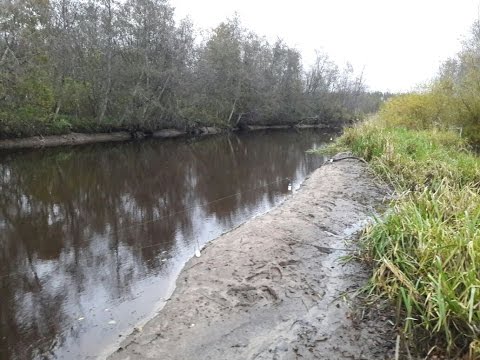 ловля налима в октябре на реке