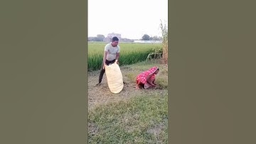 231/#short funny video#comedy#viral #funny short reaction video/maher ali/