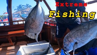 How to catch BIG fish with GAUZE - Fishing Tutorial