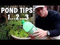 MY BEST POND TIPS: No Mosquitoes, Temp Control And More