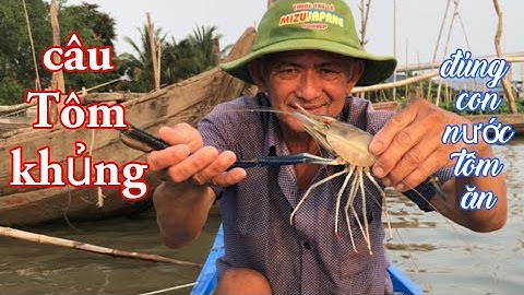Câu tôm ở đám lục bình, đúng con nước tôm ăn không kịp móc mồi luôn rồi # Tuấn ròm miền tây#