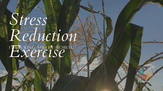 Stress Reduction Exercise