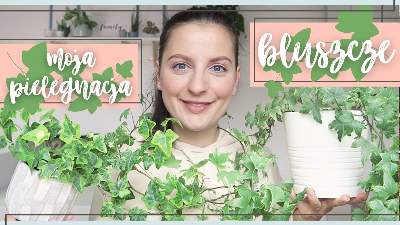 BLUSZCZE | Pielegnacja | Co sie u mnie sprawdza