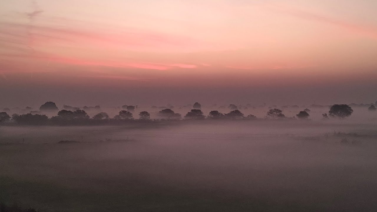 रुक्मणी विवाह उत्सव एवं श्रीमद् भागवत कथा ⚜️🙏