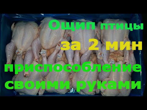 Насадка для ощипывания домашней птицы своими руками