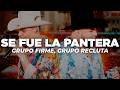 Grupo Firme, Grupo Recluta - Se Fue La Pantera (Letra)