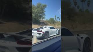 918 in the wild #PCH