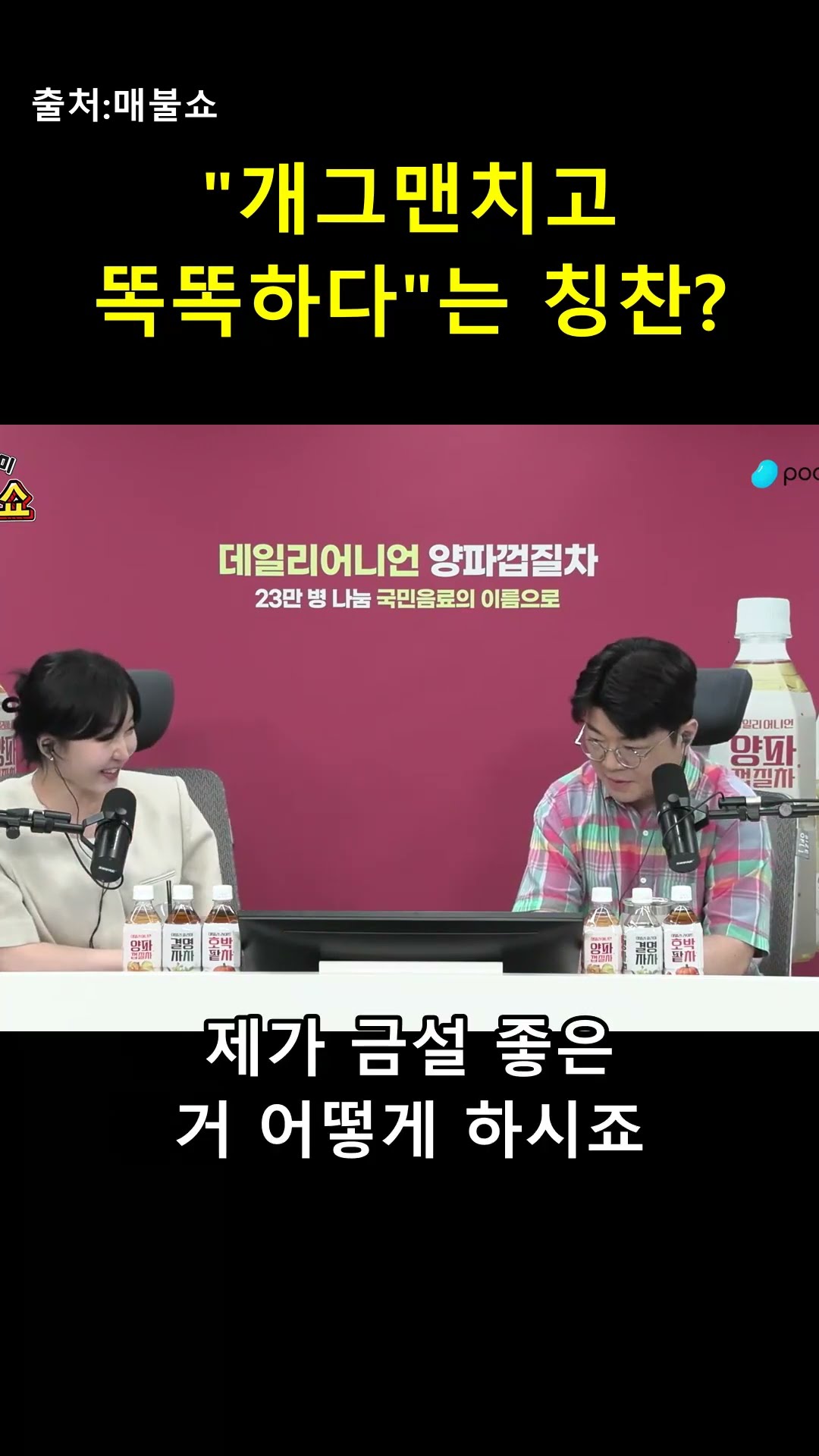 "개그맨치고 똑똑하다"는 말이 욕인 이유 🤣 — 매불이