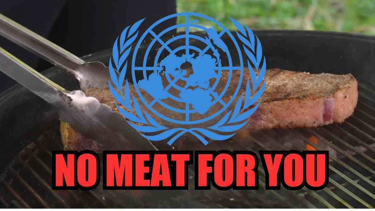 UN No Meat For You YouTube