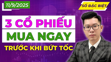 CHÚ Ý: Mua Ngay 3 Cổ Phiếu Này Trước Khi Bứt Tốc! Đừng bỏ lỡ!