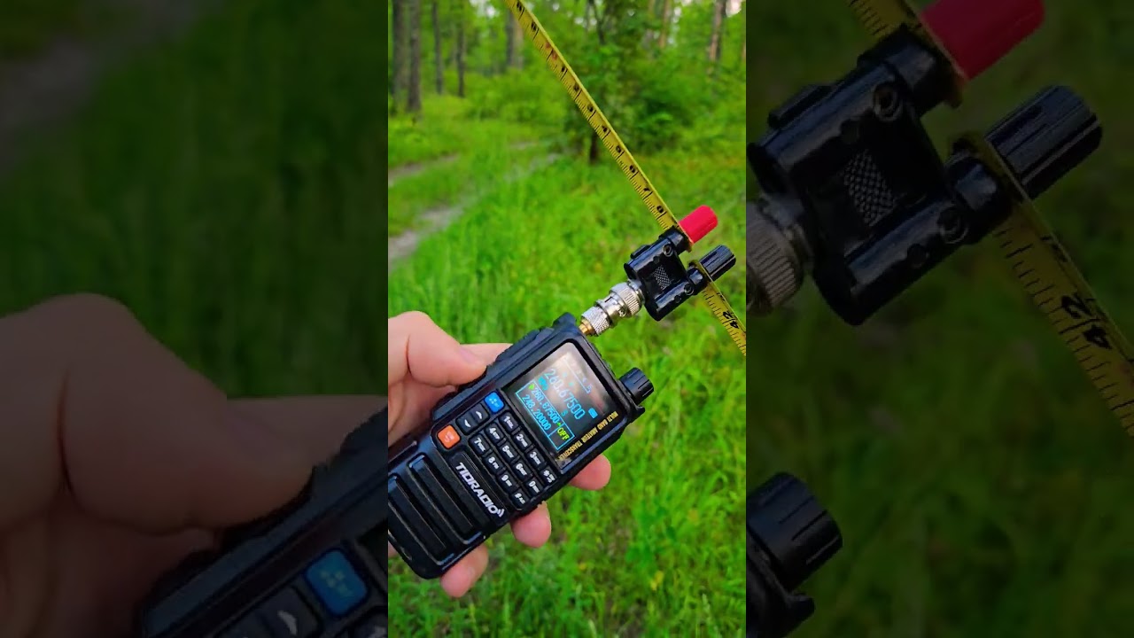 Приём пиратов из Бразилии)