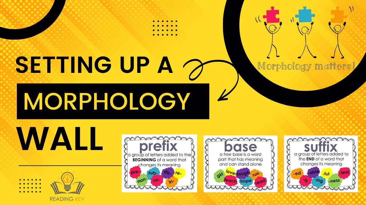 Setting Up A Morphology Wall