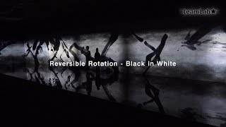 Reversible Rotation - Black in White / 反転無分別 - Black in White