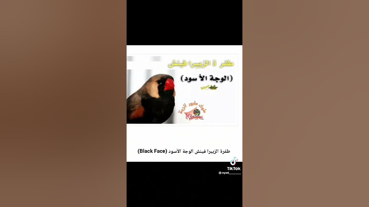 جميع انواع طفرات الزيبرا