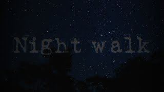 Cursedsnake - Night walk