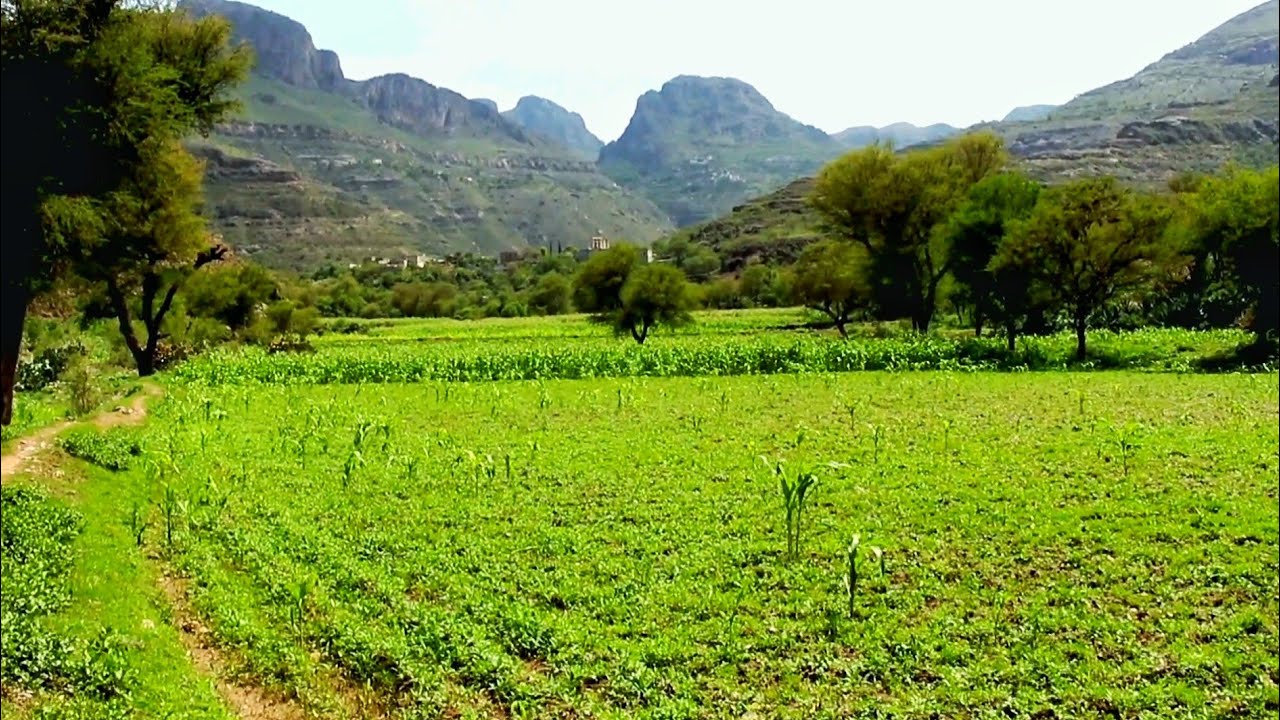 ياريم وادي بناء 🔴علي السمة مع اجمل مناظر ❤