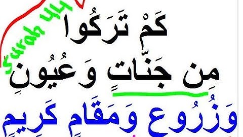 سورة الدخان SURAH 44 ADDUKHAN Ayah 19-39 Page 497