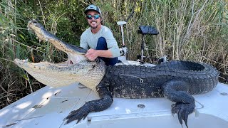 Gator BITES Boat! 2 days hunting Alligator on Lake Okeechobee! Catch and Cook