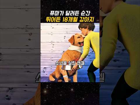 퓨마가 달려든 순간 뛰어든 18개월 강아지