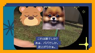 IMG 1342 export 2