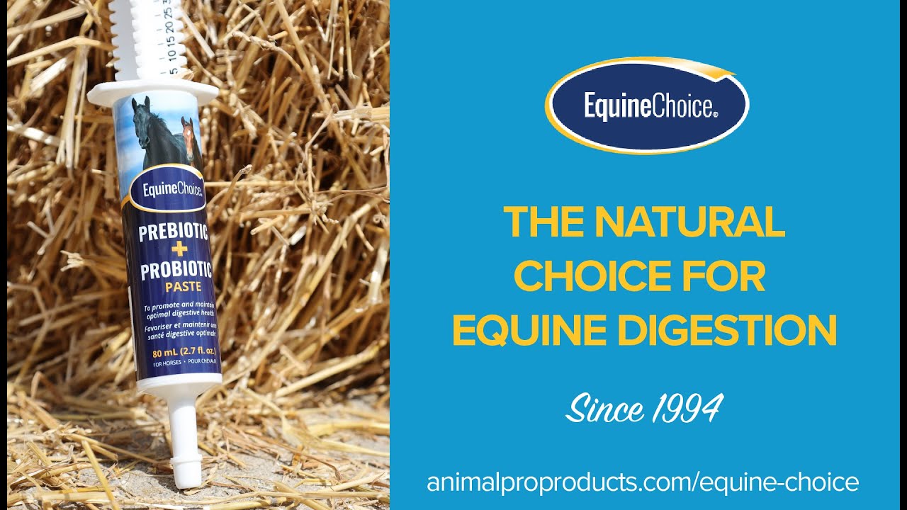 Equine Choice All Natural Prebiotic and Probiotic Supplements for Horses YouTube