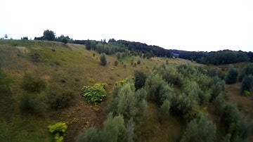 ImmersionRC Vortex - Rolls practice above the trees