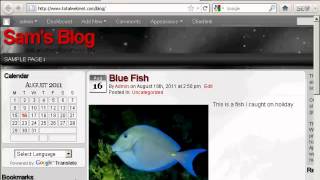 Wordpress Tutorial - Using Wordpress Widgets in the Sidebar