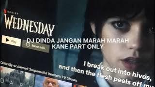 DJ DINDA KANE PART ONLY