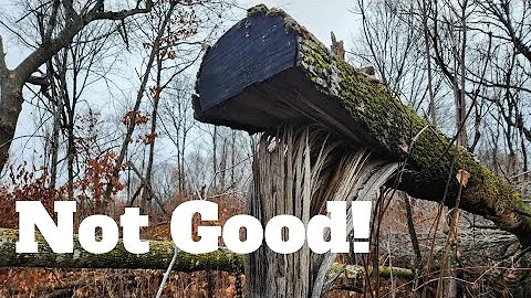 Don't Make These 5 Common Deer Bedding Area/Hinge-Cut Bedding Area Mistakes