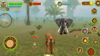 Wild Tiger Family Simulator | King of Jungle Vs Gorilla - Android GamePlay screenshot 2